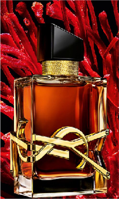 Amazon.com : YVES SAINT LAURENT YSL Libre for Women Eau de